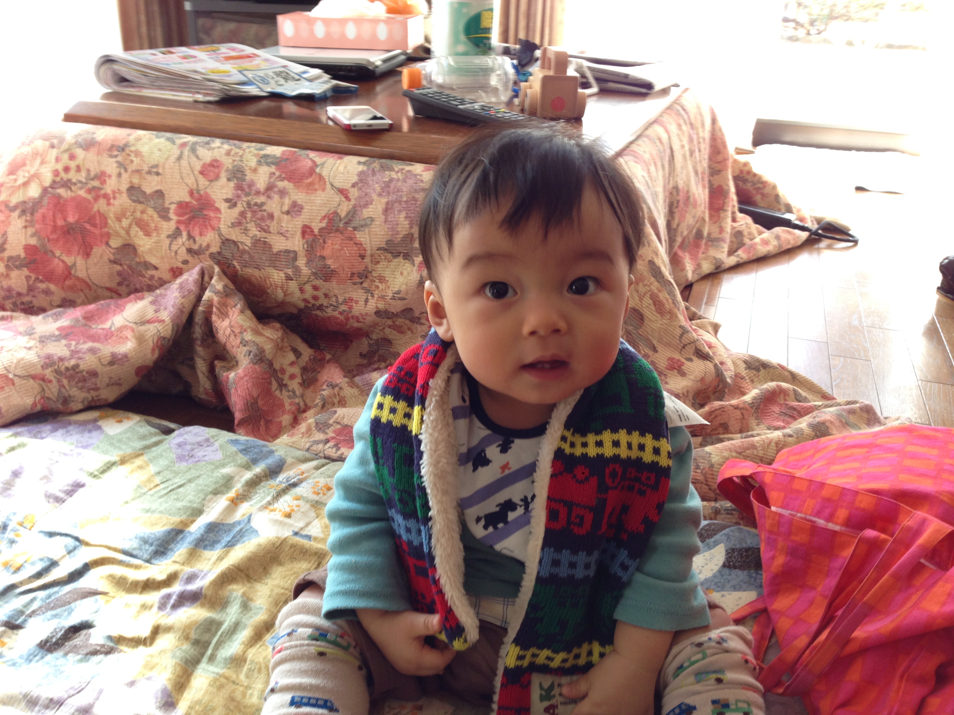 seigo2
