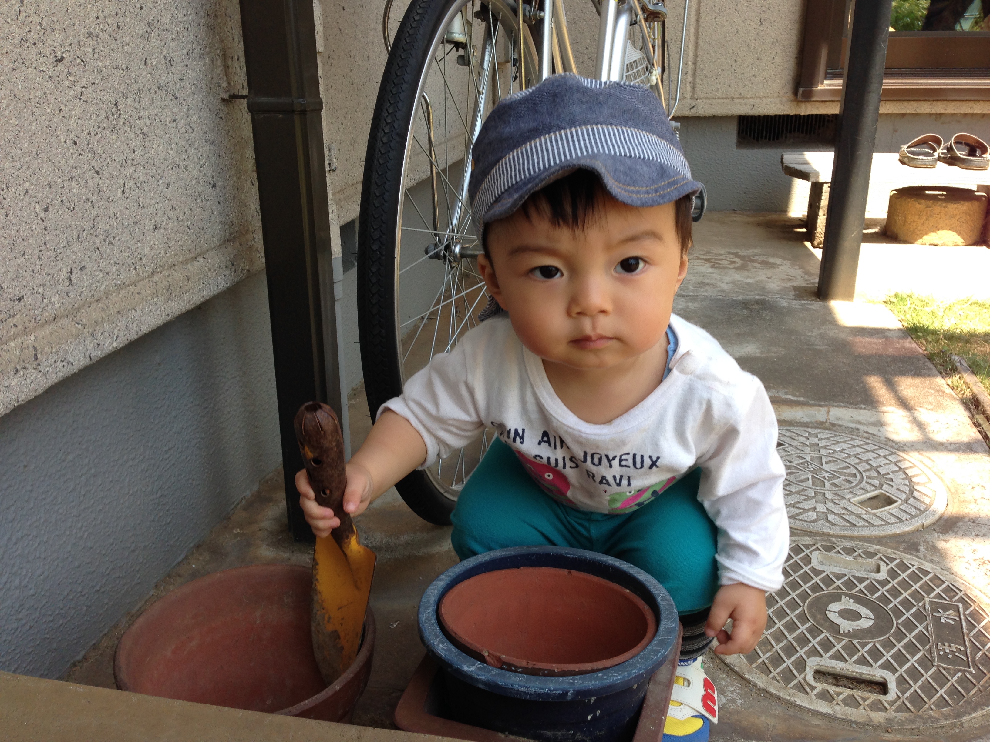 seigo3