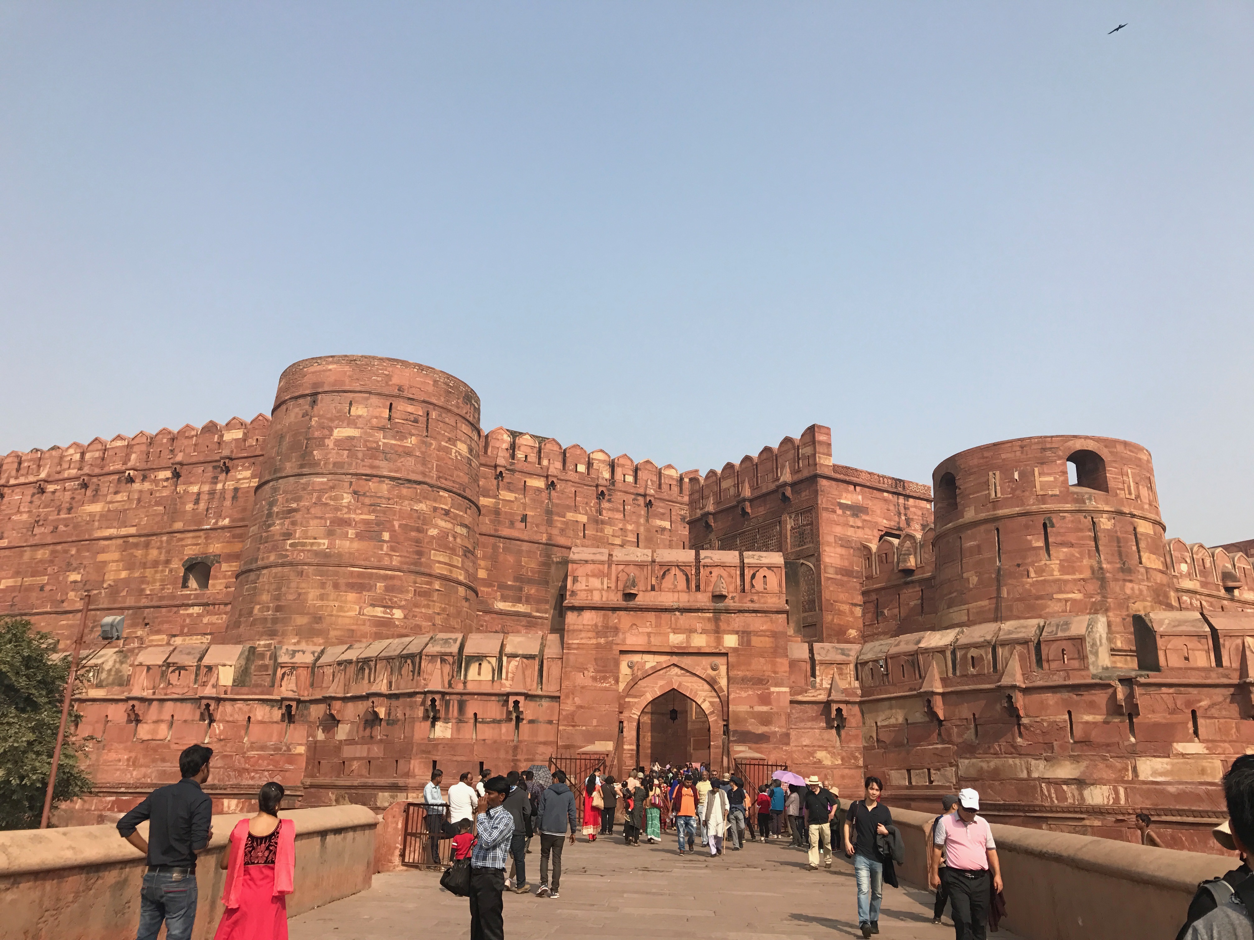 agra