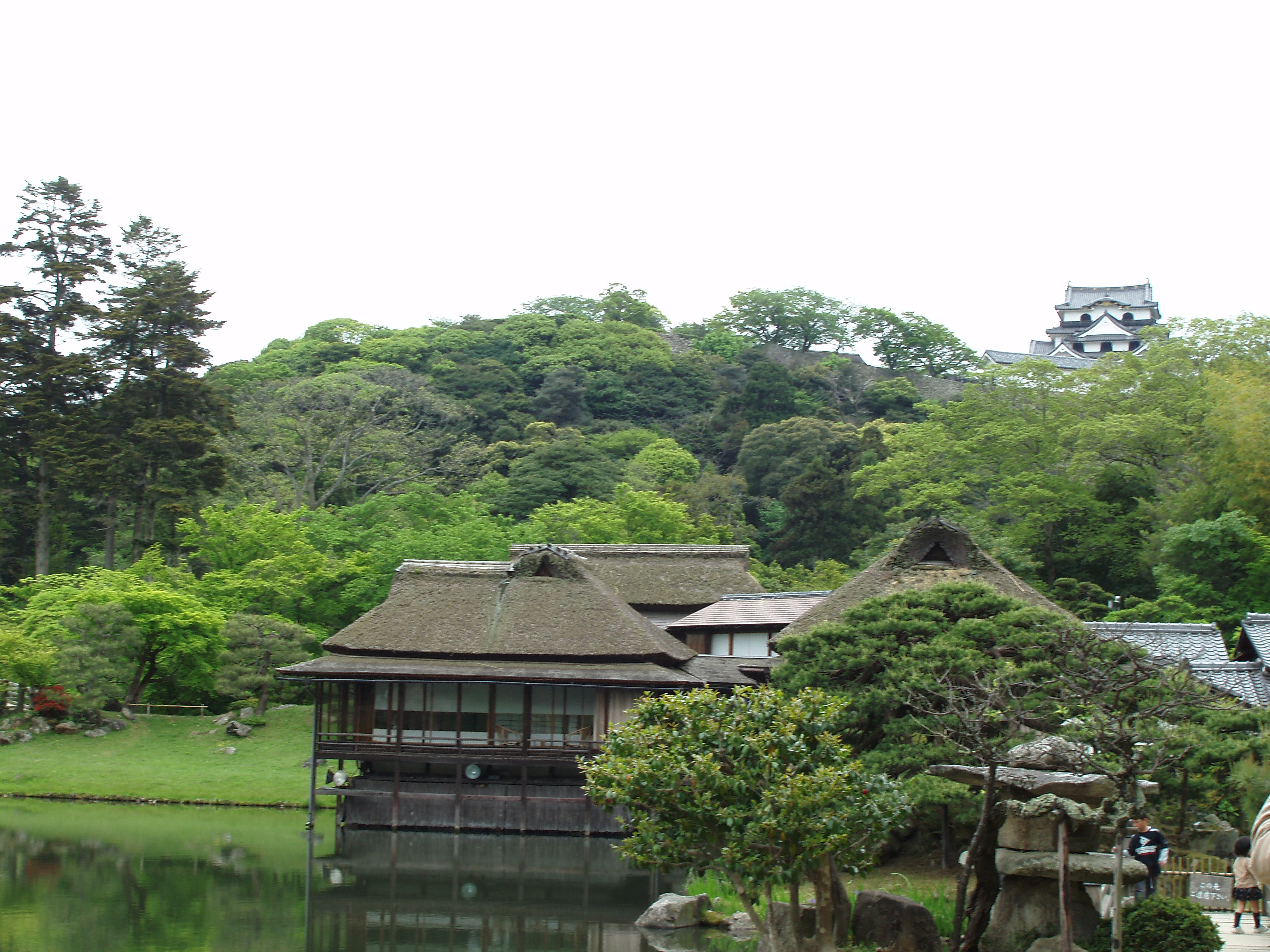 hikone
