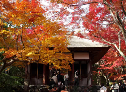 kyoutotera