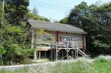 タラ全景