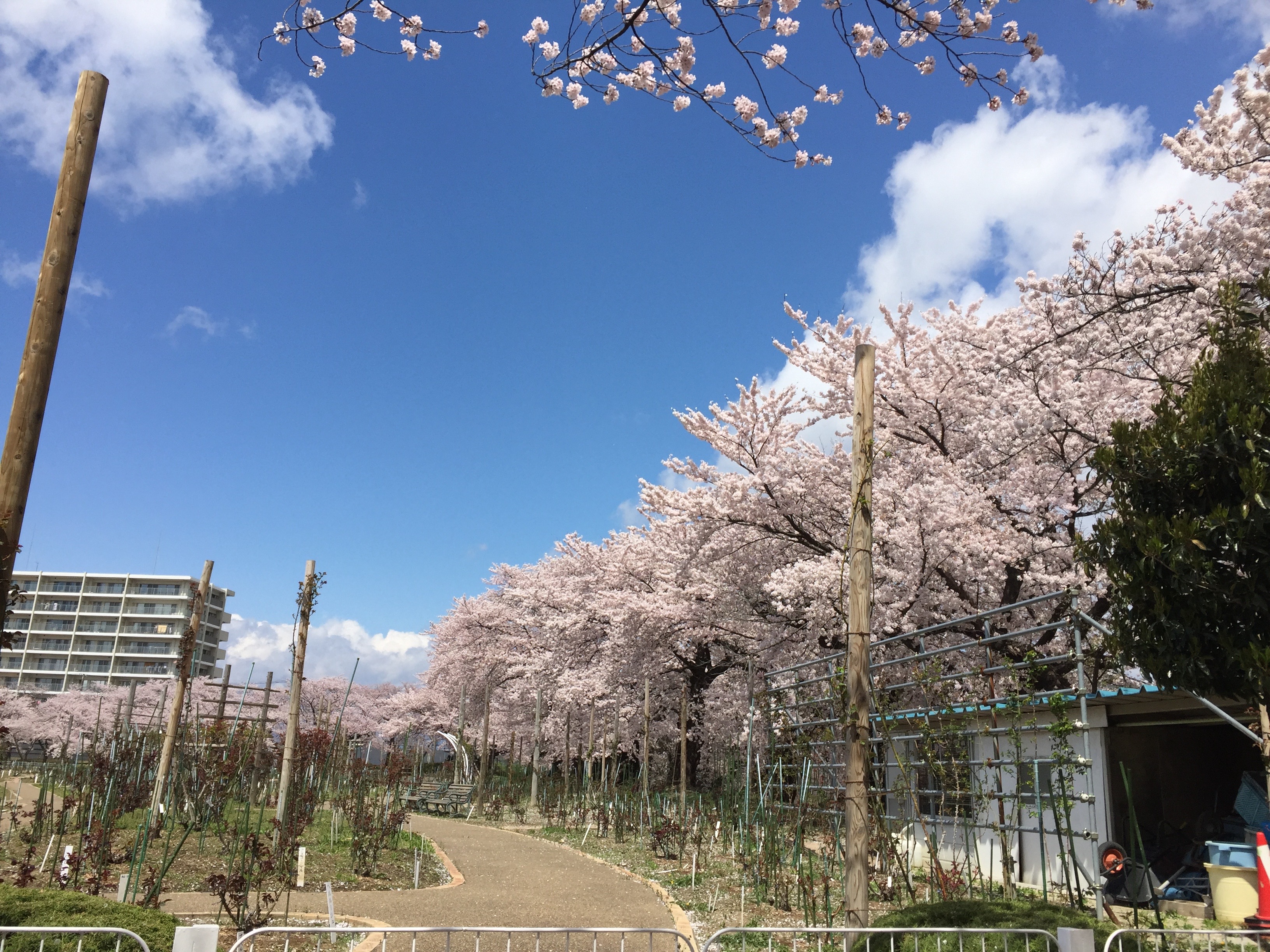 kooriyama