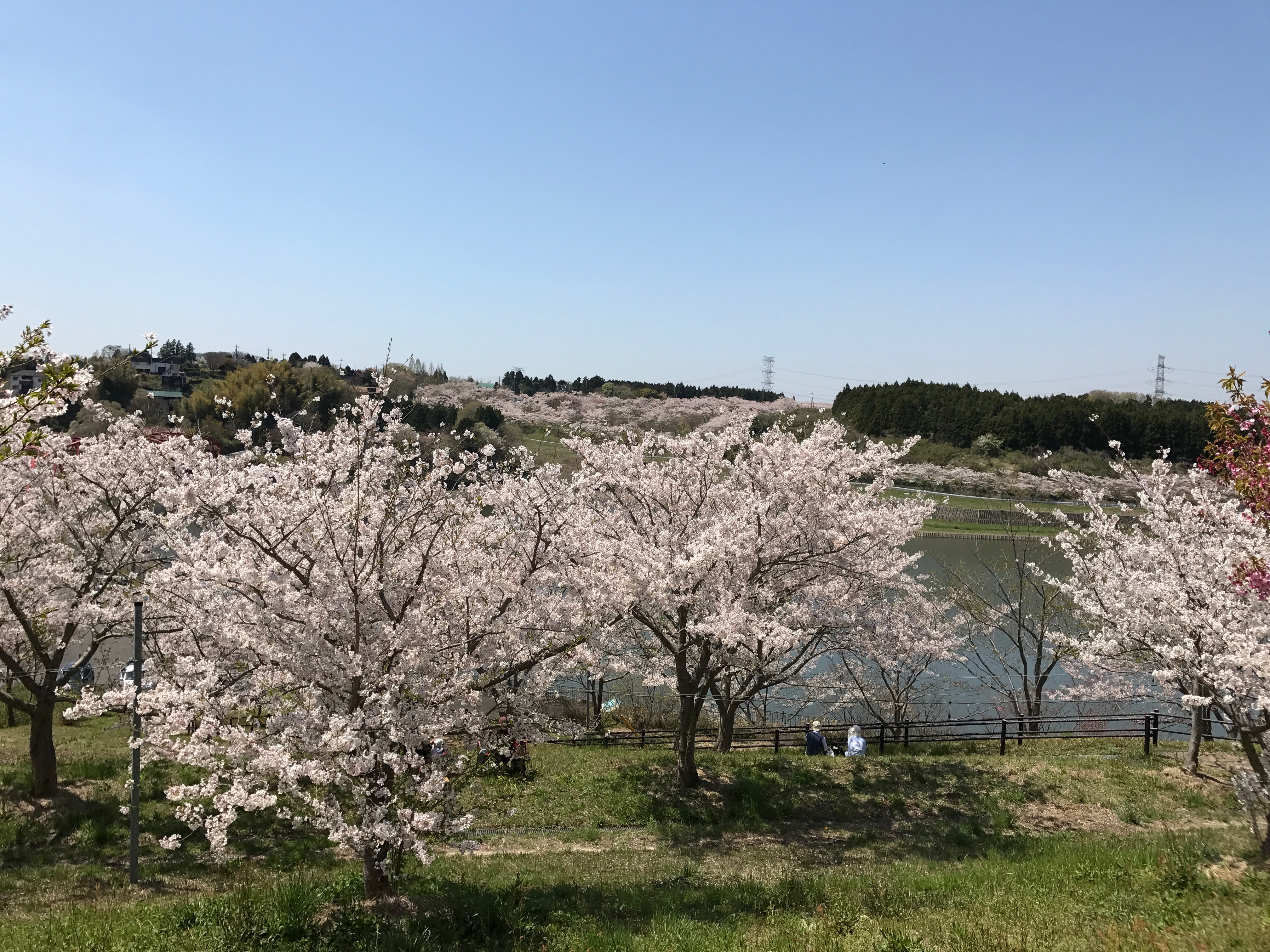 nagara