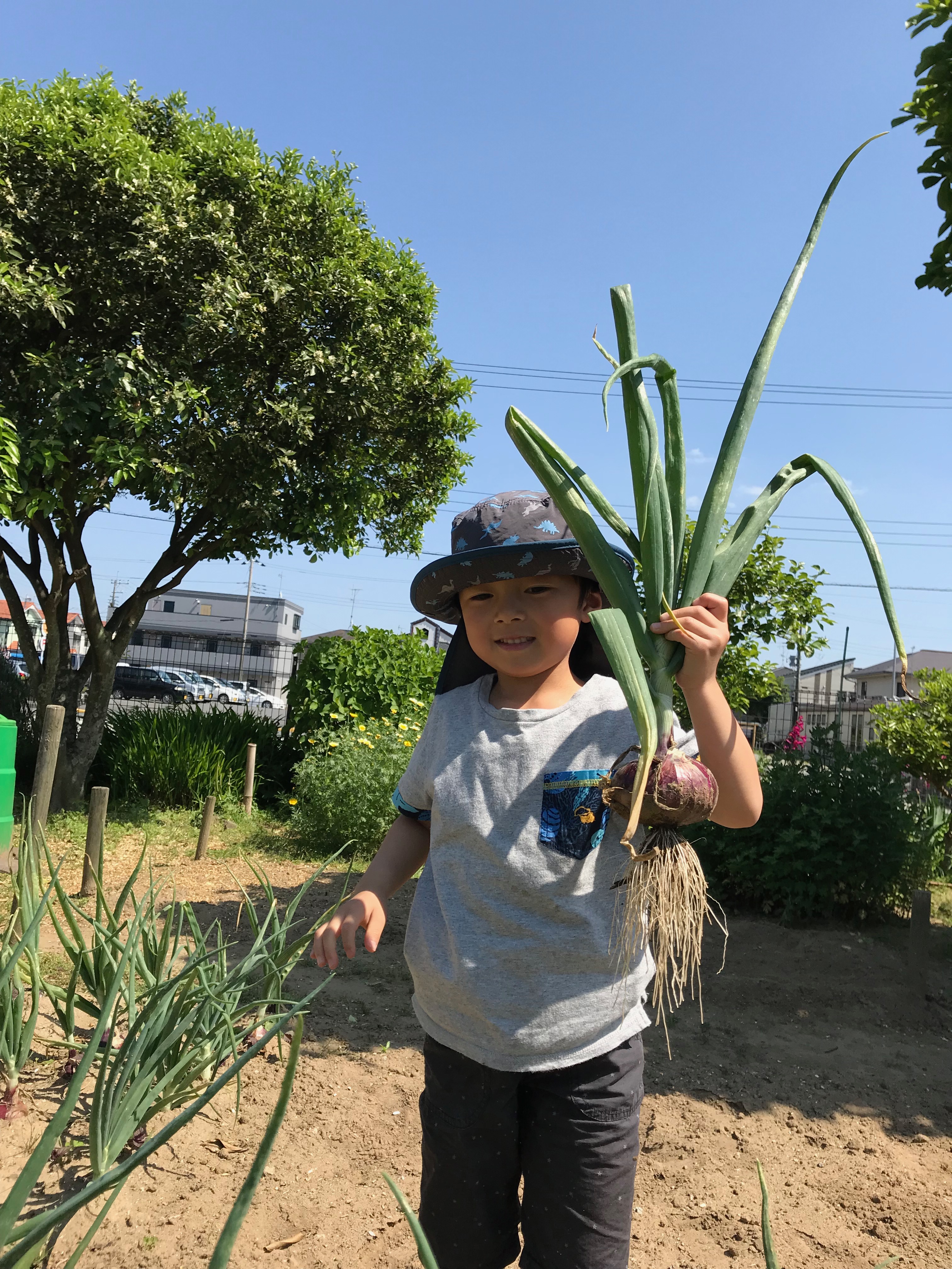 seigoonion
