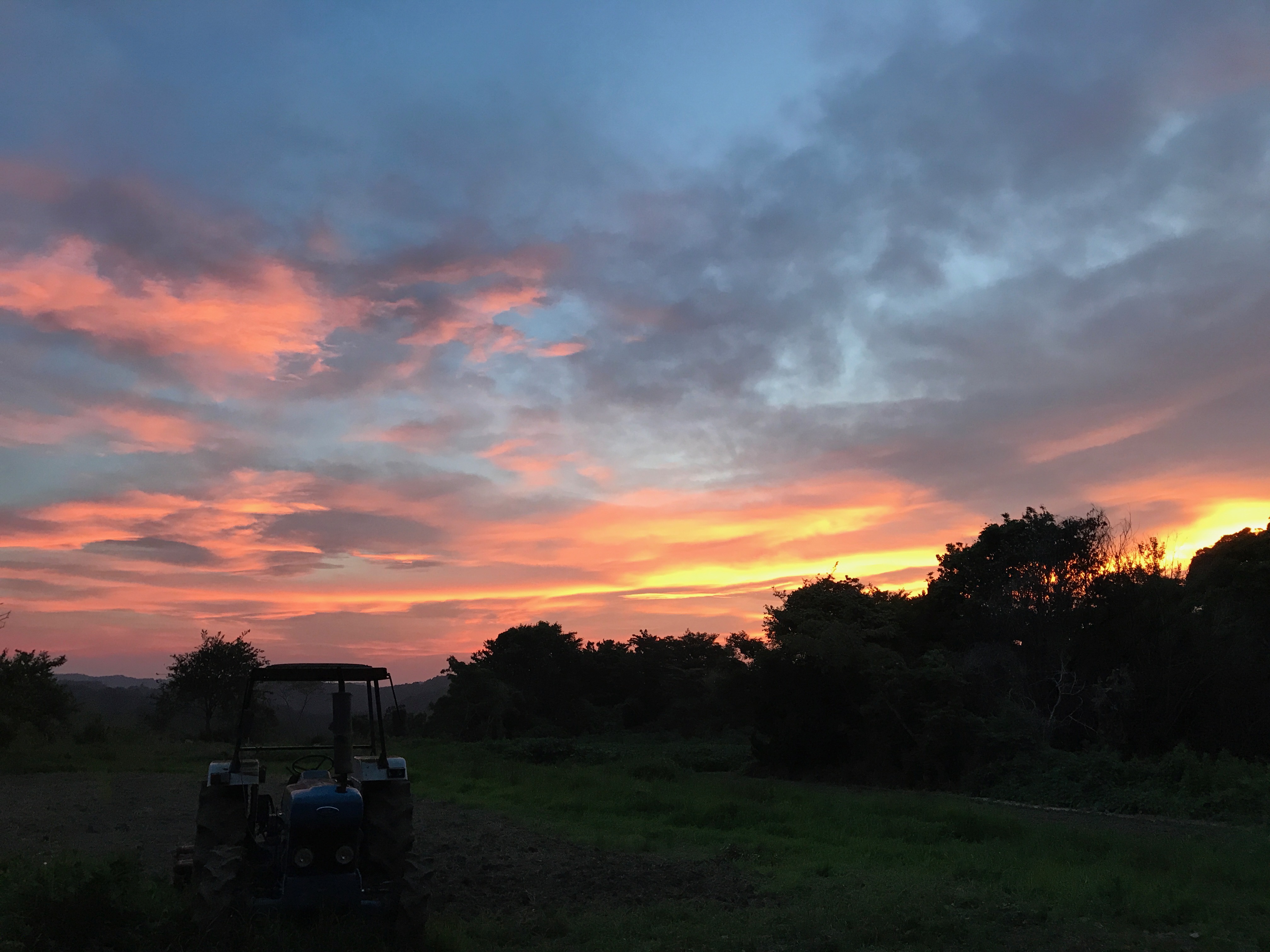 sunset1