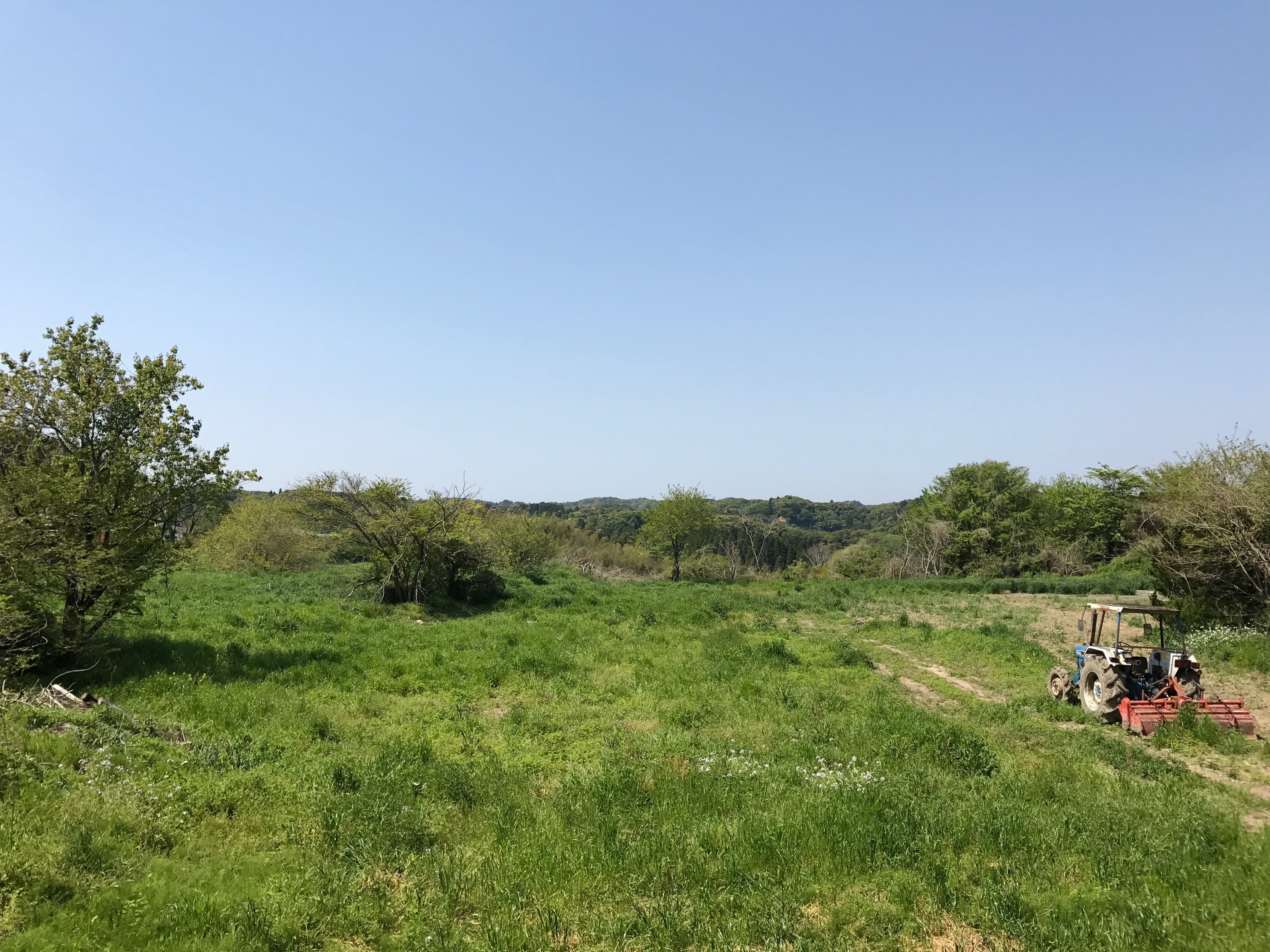tarafield