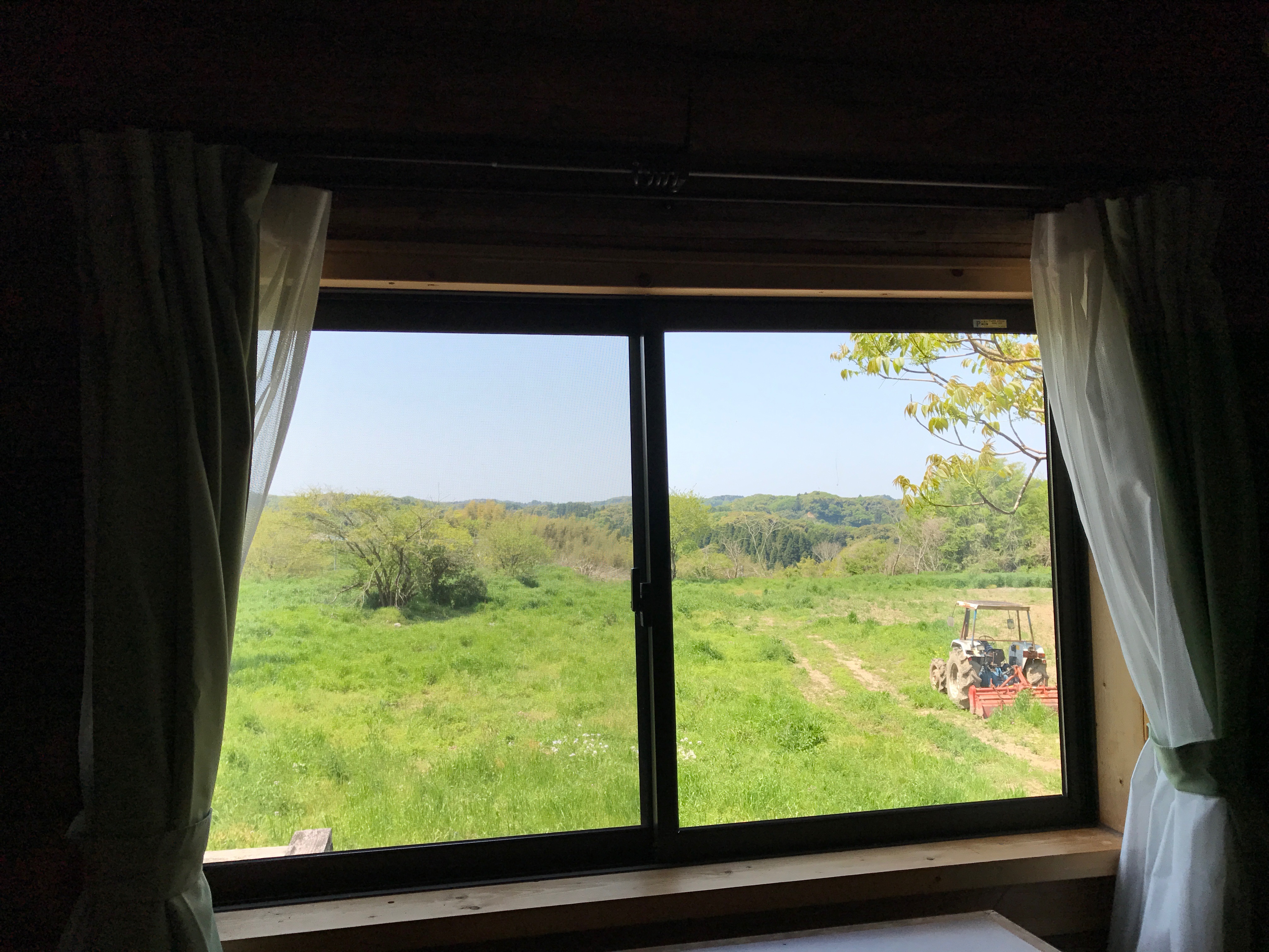 window